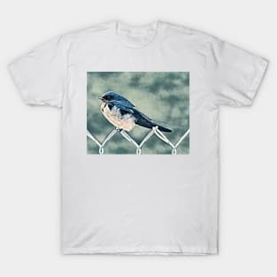 Swallow-NC T-Shirt